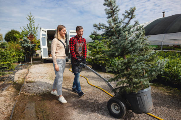 Best Emergency Tree Removal  in West Freehold, NJ