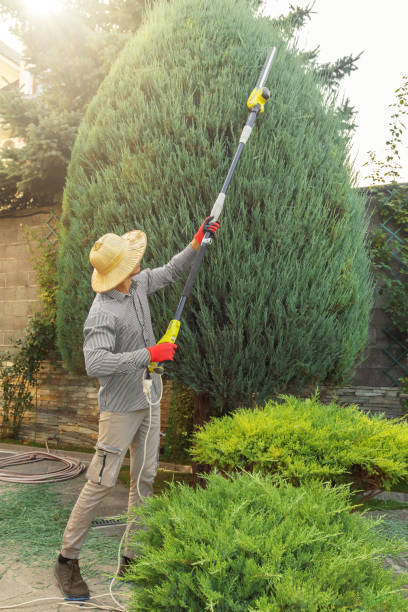 Best Commercial Tree Services  in West Freehold, NJ